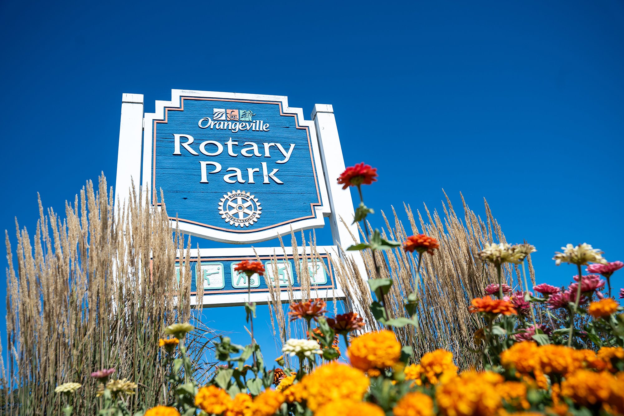 A photo of a garden with a large raised sign behind it that identifies the area as Rotary Park.